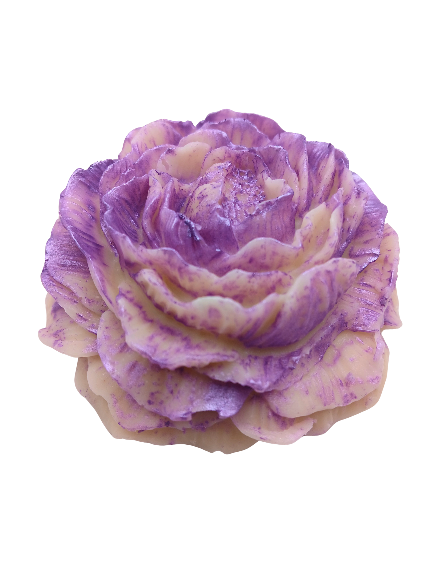 Lavender Fields Forever Flower