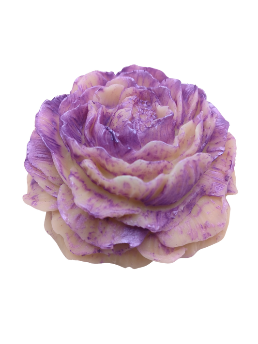 Lavender Fields Forever Gift Set