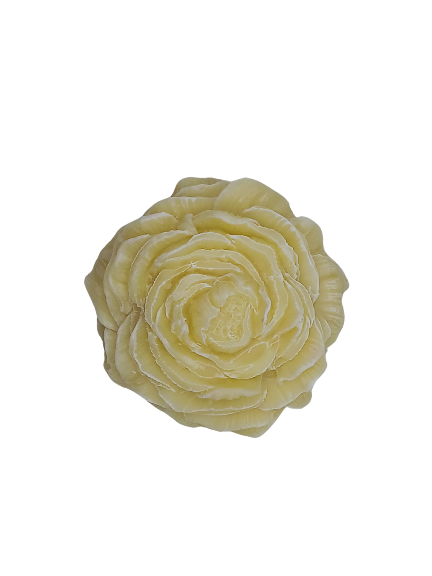 Bare Naked Vegan Peony